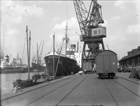 804414 Afbeelding van goederenwagens en havenkranen op een kade van de haven te Rotterdam.